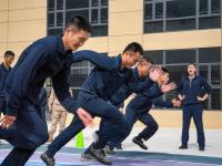 米兰体育官方网站-帕尔梅拉斯教练组强化体能训练，备战关键战的简单介绍