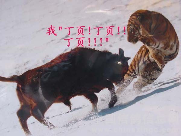 给不了“承诺”的巴萨，怪不了尼科“放鸽子”的简单介绍